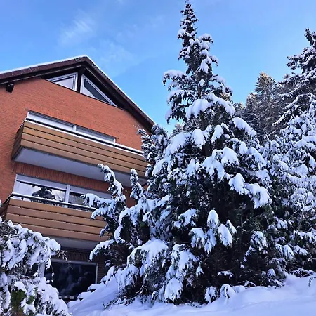 Blackhillhouse - Moderne Auszeit Im Harz *